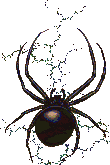 FearLink